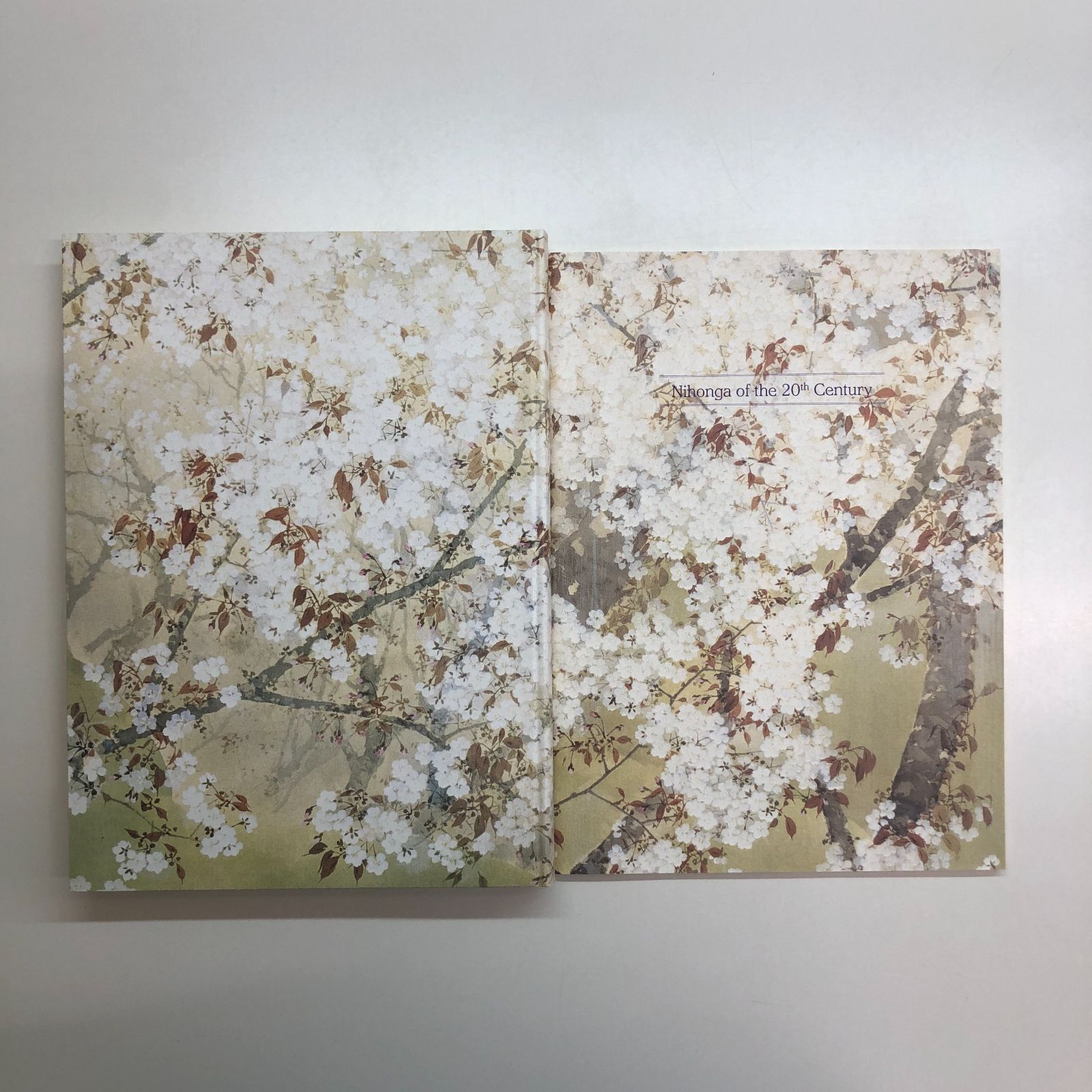 近代日本画の図録　美術館図録 図録 日本画の100年 東京国立近代美術館/東京藝術大学の所蔵品を