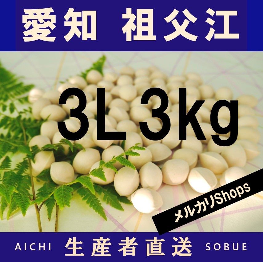 値下げ！2022年新物　生産者直送 久寿 銀杏 愛知県 祖父江産 3L 3kg 2024年新物 生産者直送 久寿ぎんなん 愛知県 祖父江産 銀杏 3L