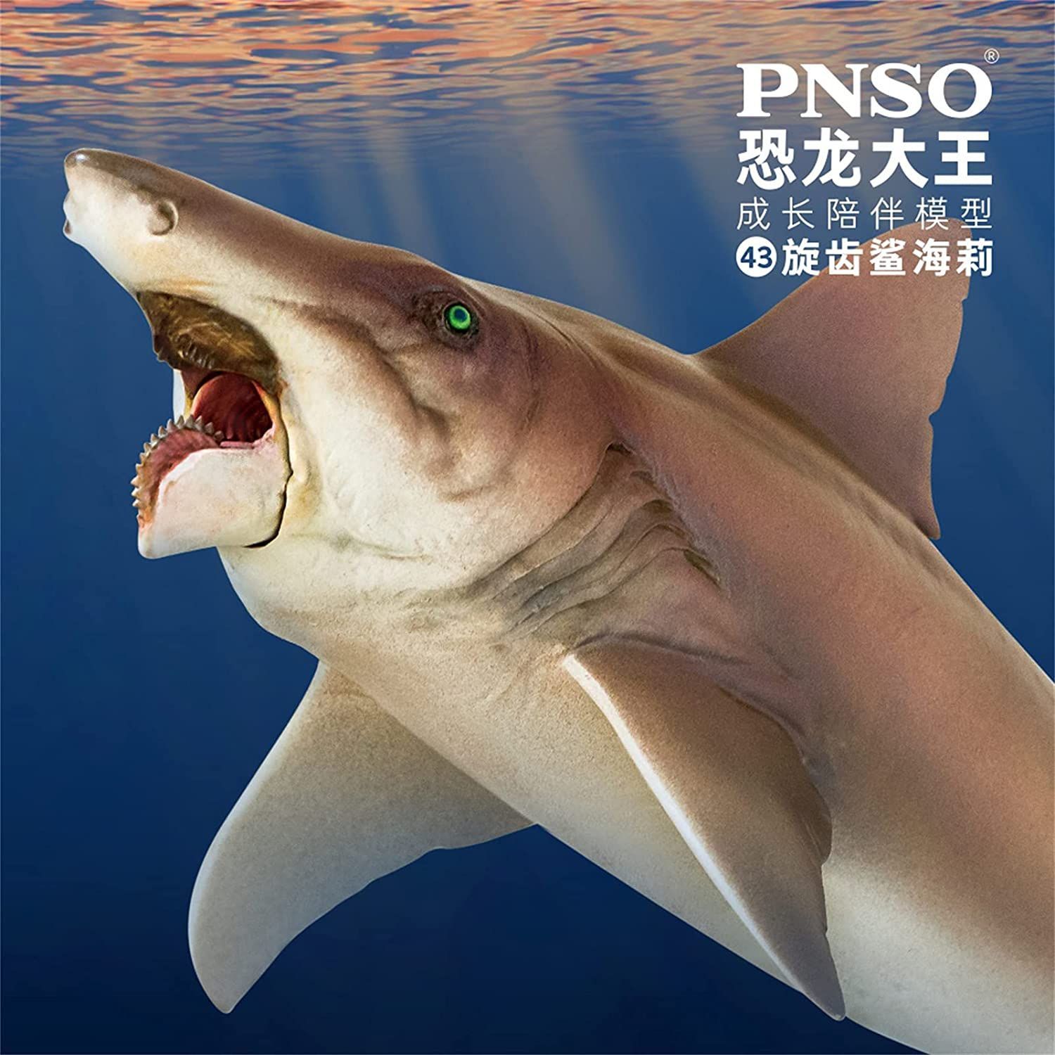 PNSO 成長シリーズ 43 ヘリコプリオン 魚類 動物 フィギュア