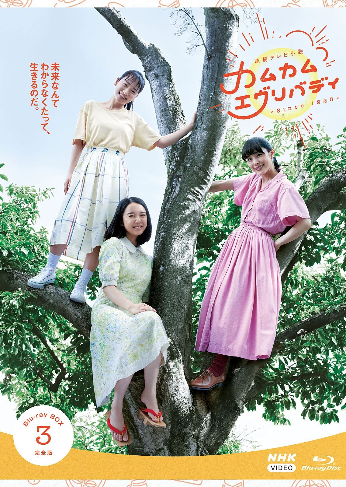 数量 BOX3 ブルーレイ Blu-ray 完全版 カムカムエヴリバディ 連続テレビ小説