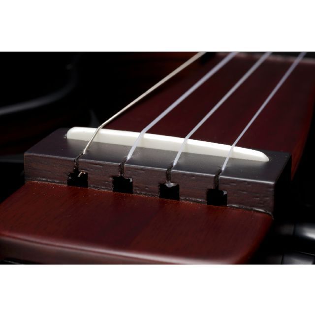 TB フレイムメイプル