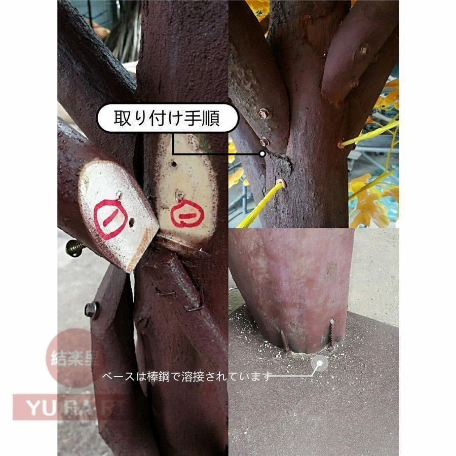 猫登山 猫の活動ツリー