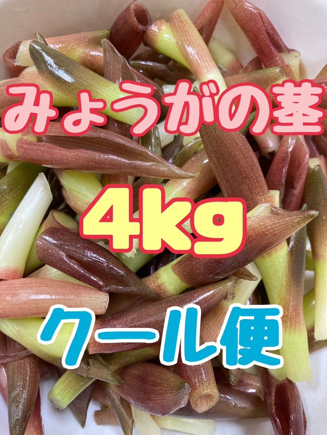 ★【新鮮・朝どれ‼️発送】贈答にも　宮崎県産 　高糖度　とうもろこし 新鮮・朝どれ‼️発送】贈答に 宮崎県産 高糖度 とうもろこし М