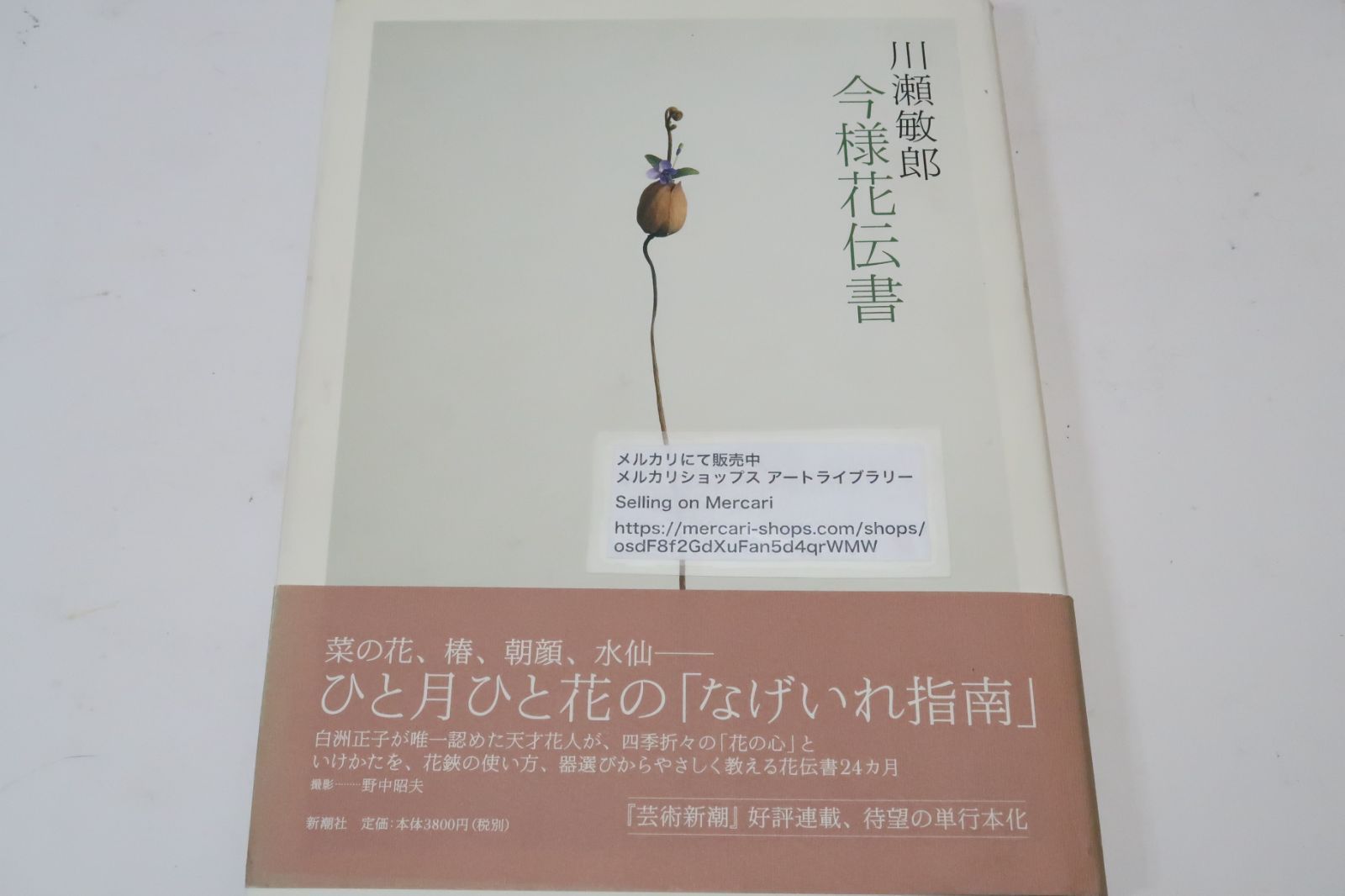 今様花伝書・川瀬敏郎/白洲正子が唯一認めた天才花人が四季折々