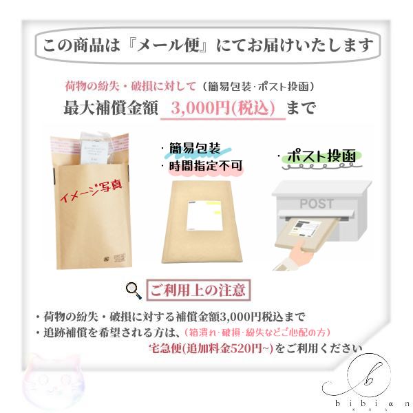 アルビオン スタジオ オパルセント オーラ / ブラッシュ付ケース imgrc0094065880.jpg