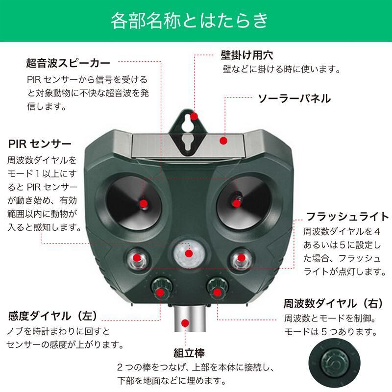 超音波と強力フラッシュライト ネコ