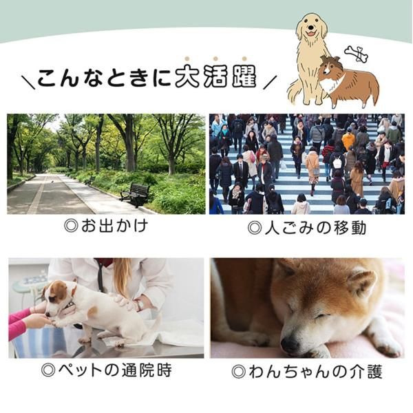 犬 猫