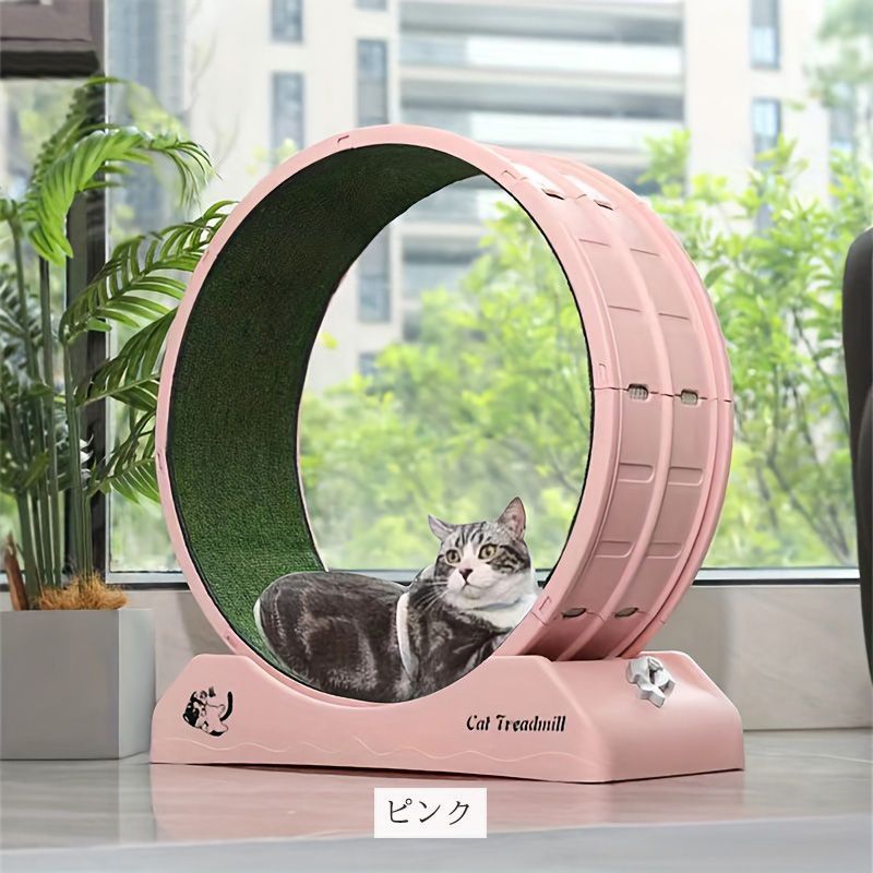 フィットネス