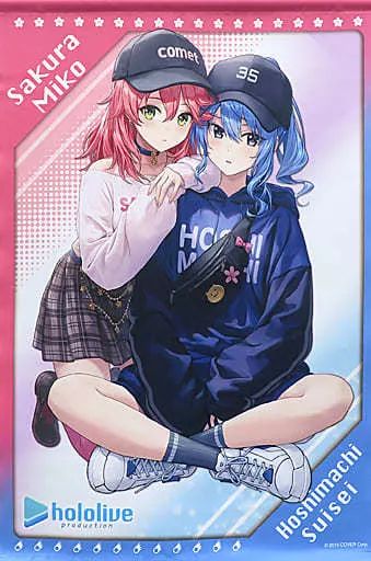タペストリー　星街すいせい B2タペストリー 「バーチャルYoutuber ホロライブ×MOLLY.ONLINE 第11弾」 Hoshimachi Suisei - Tapestry - hololive (星街すいせい B2