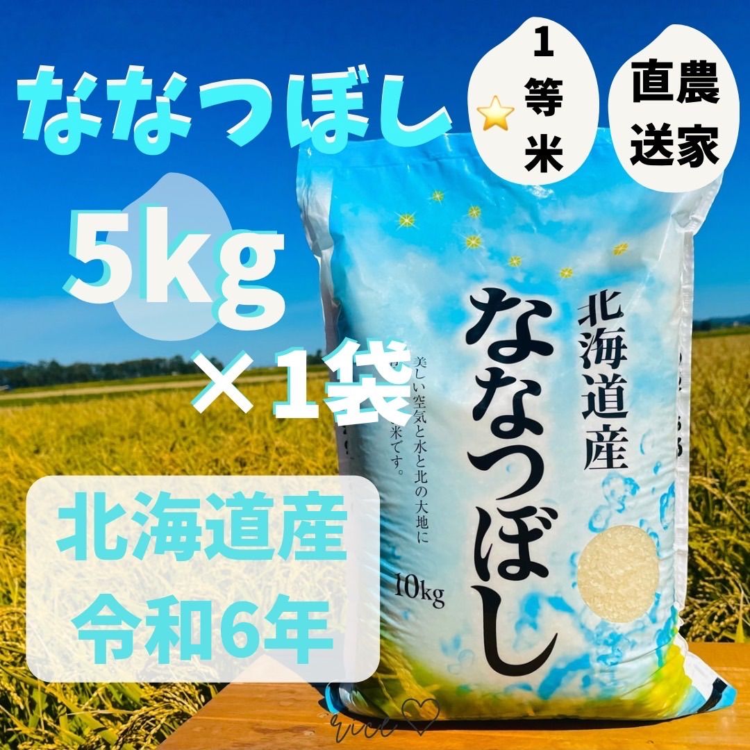 令和6年度 ⭐️1等米⭐️ 北海道産 ななつぼし?  5kg×1袋　なかがわ農園　白米　米　農家直送米