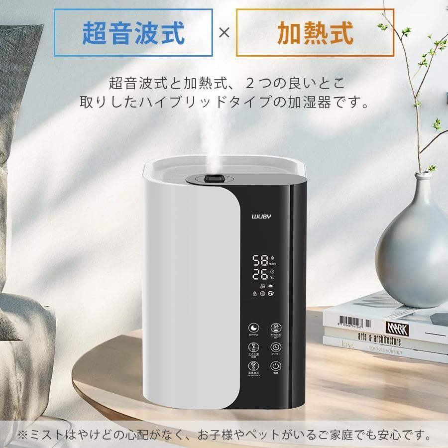 スチーム式 イオン除菌
