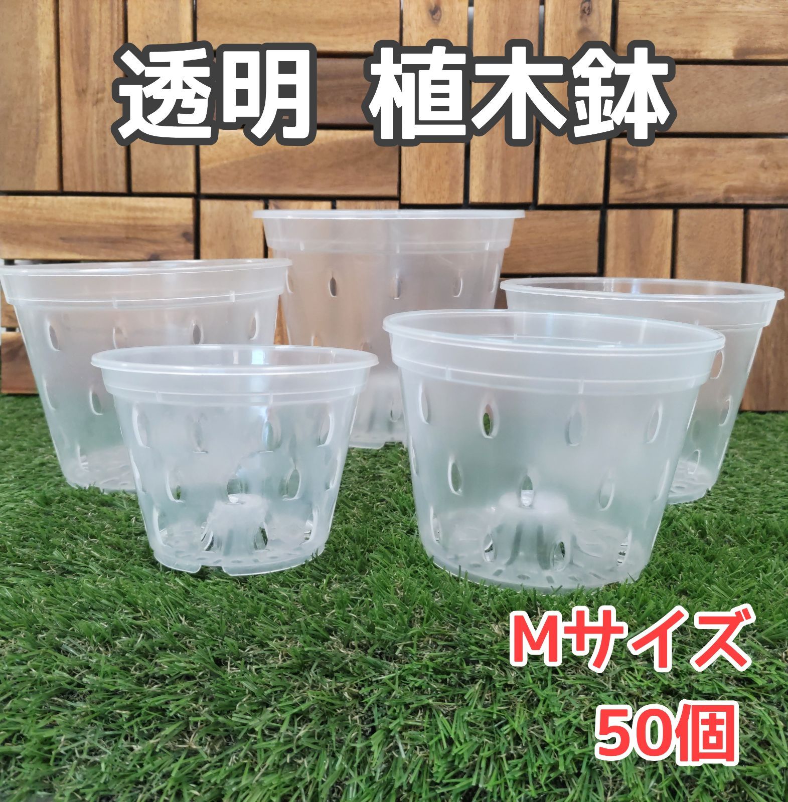 ソテツ 蘇轍 高さ 約90センチ 9号鉢 子株付き 【一点もの】ソテツ 蘇鉄