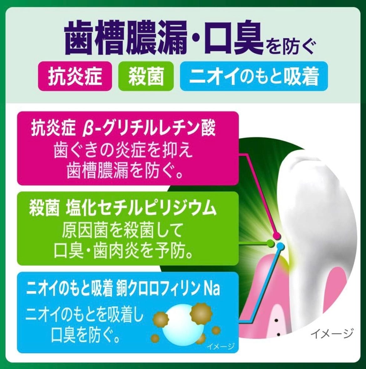 ディープクリーン 泡ハミガキ 190ml  2箱セット まとめ  歯磨き粉 液体ハミガキ 歯槽膿漏  花王