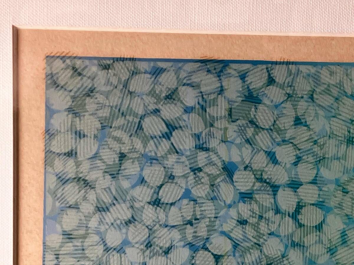 リトグラフ ジョアン・フック 限定 直筆サイン 熱帯雨林 鳥 ケアンズ