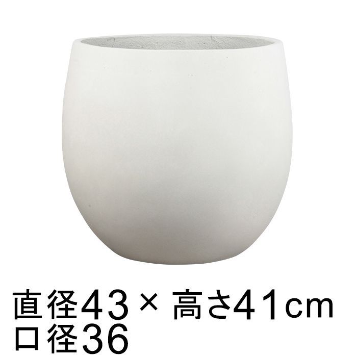 10号鉢対応
