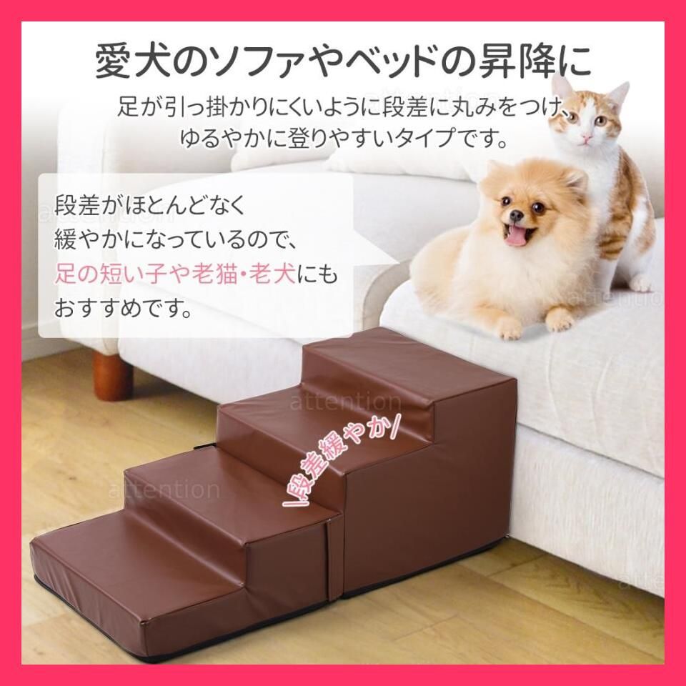 階段 犬