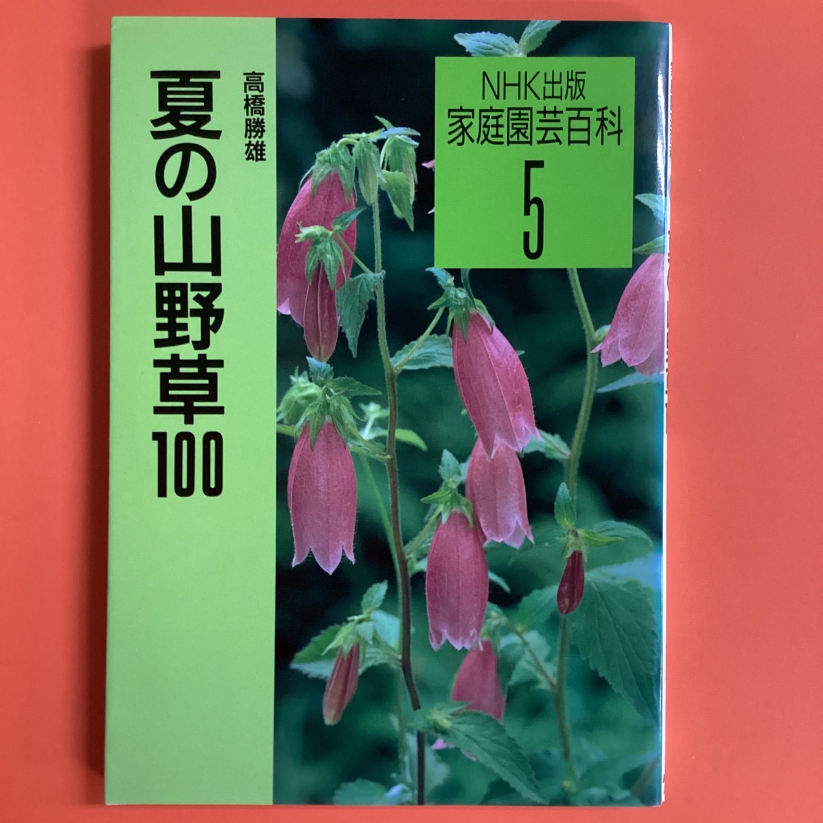 夏の山野草100