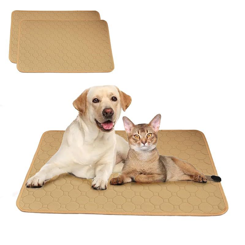 アンティーク手描きの瞳やふっくらとしたお顔が美しい招き猫