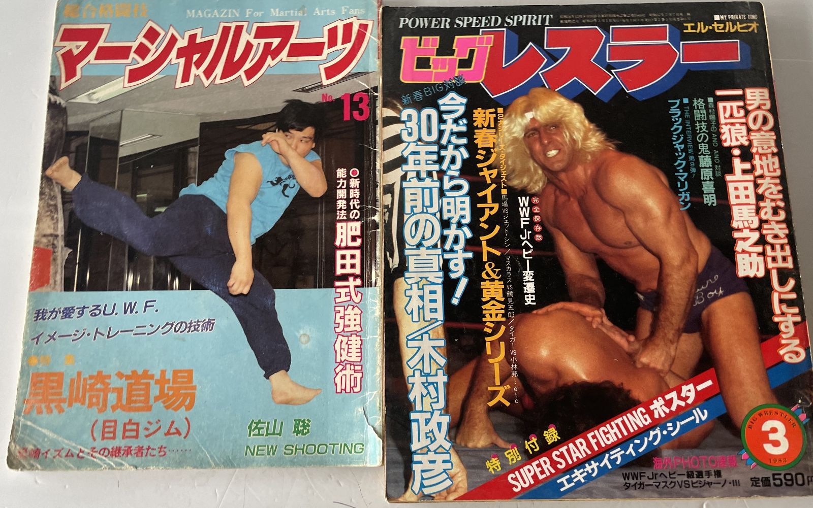 プロレス関係雑誌 24冊セット 週刊プロレス・語れ！WWE・ゴング・格闘技通信・G SPIRITS　Archives・97プロレス年鑑・ケトル・東スポ・Sports Graphic Number・ケ―フェイ・マーシャルアーツ・月刊ビッグレスラー・ほか