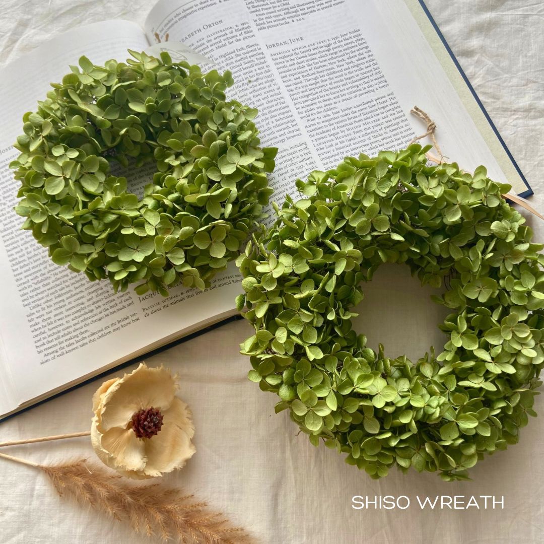 片品村アナベルのドライフラワーリース Mサイズ - メルカリ