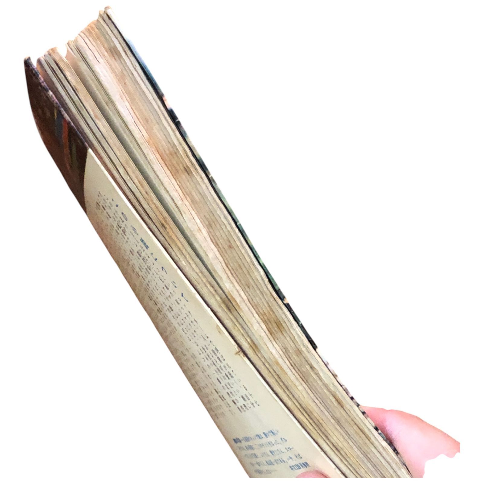 古本　古書　昭和16年　現代日本　文学鑑賞読本　春夏秋冬 古本 古書 昭和16年 現代日本 文学鑑賞読本 春夏秋冬