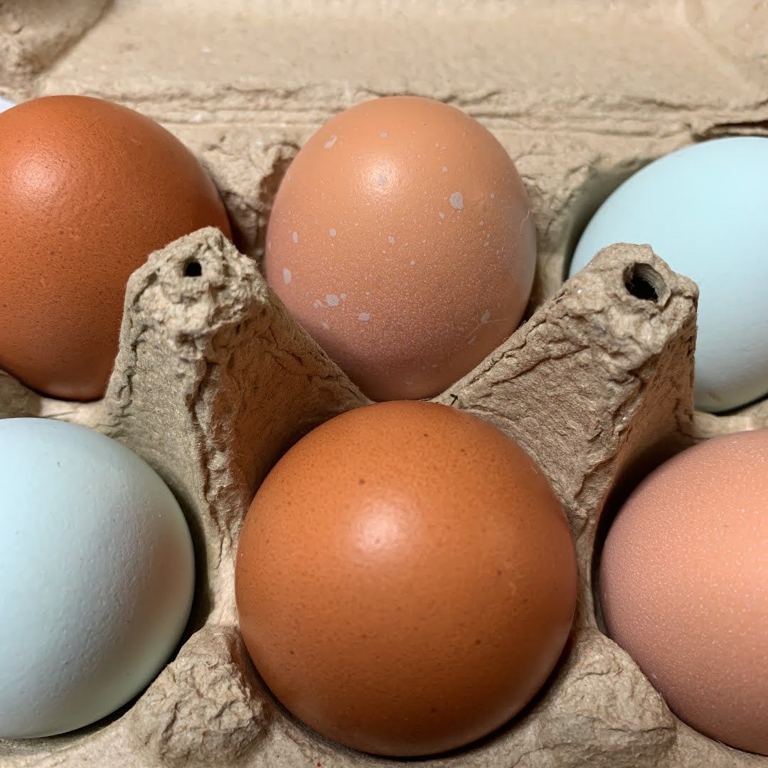 Nomadic Eggs 幸せ遊牧たまご 無洗 24個 - メルカリ 