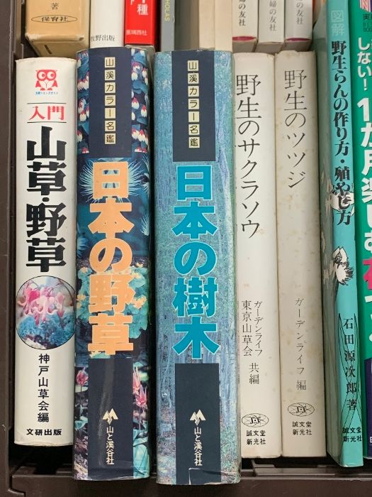 ひろさちや CD 32枚セット』 ひろさちやの日本人の神さま仏さま CD全12