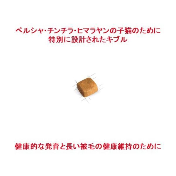 ブリード ニュートリション