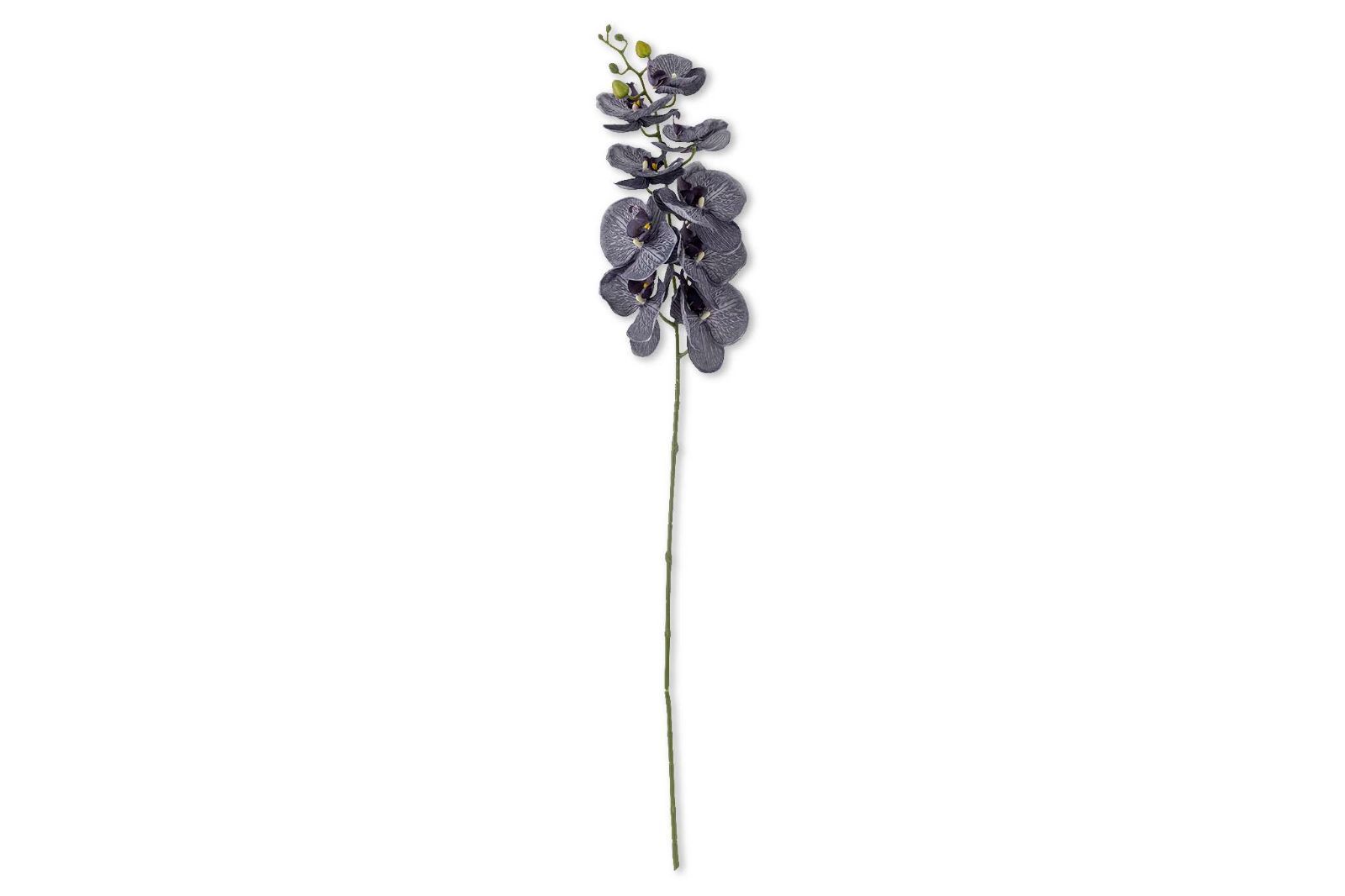 深い青色の人工蘭/造花　Orchid Stem/15x82061538