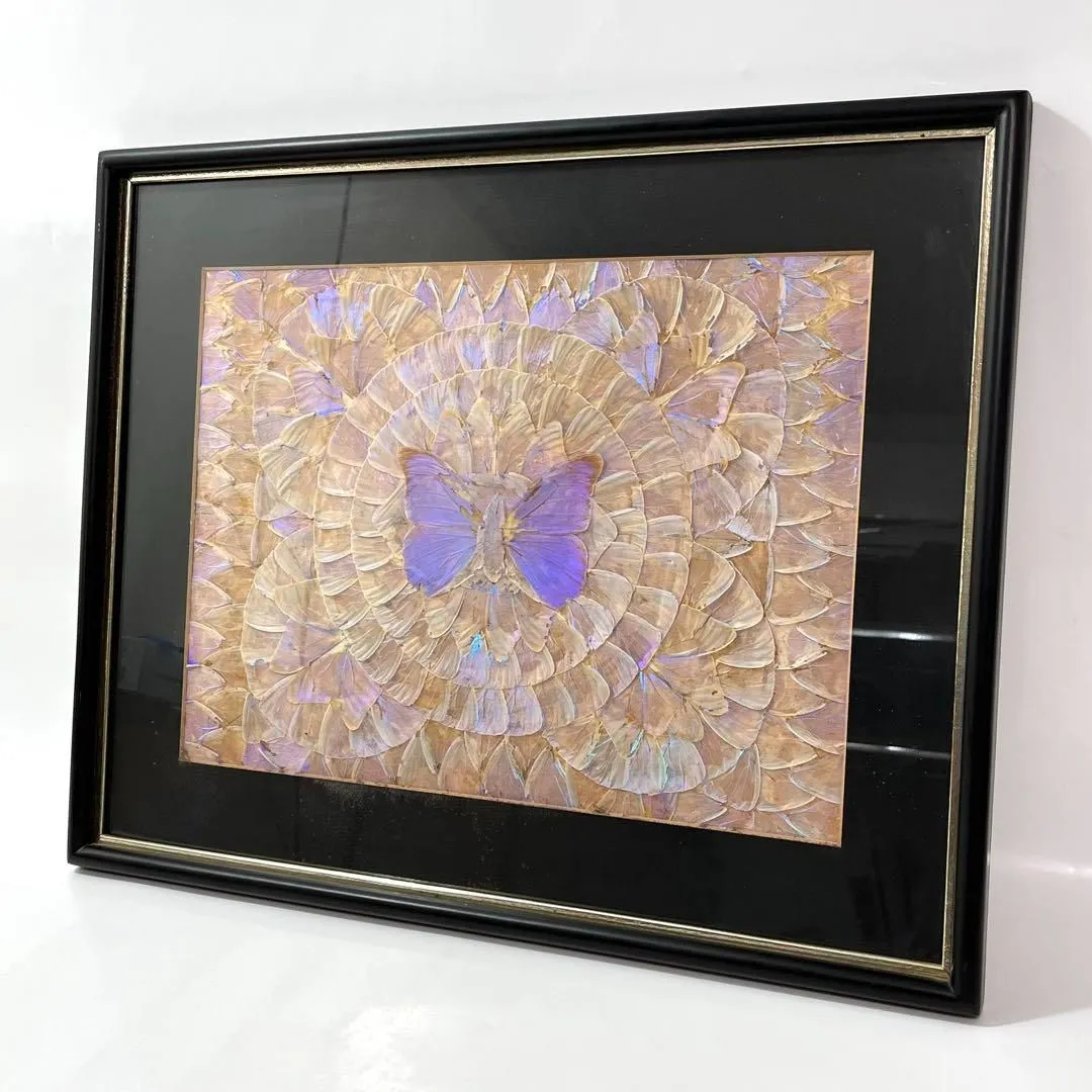 モルフォ蝶　大型額入り美術品　 約49cm✖️69cm 大きめ絵画「モルフォ蝶」 /原画 アート 日本画 絵画 紫苑工房