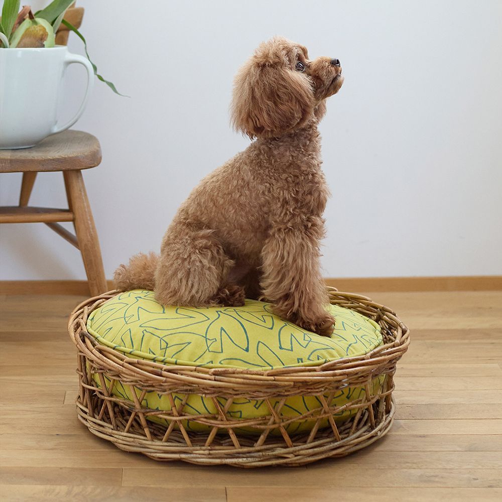 ピッタリクッション別売り