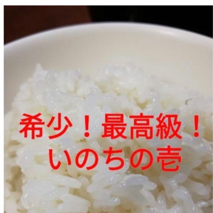厳選10キロ令和７年９月7日収穫新米岐阜県揖斐産いのちの一