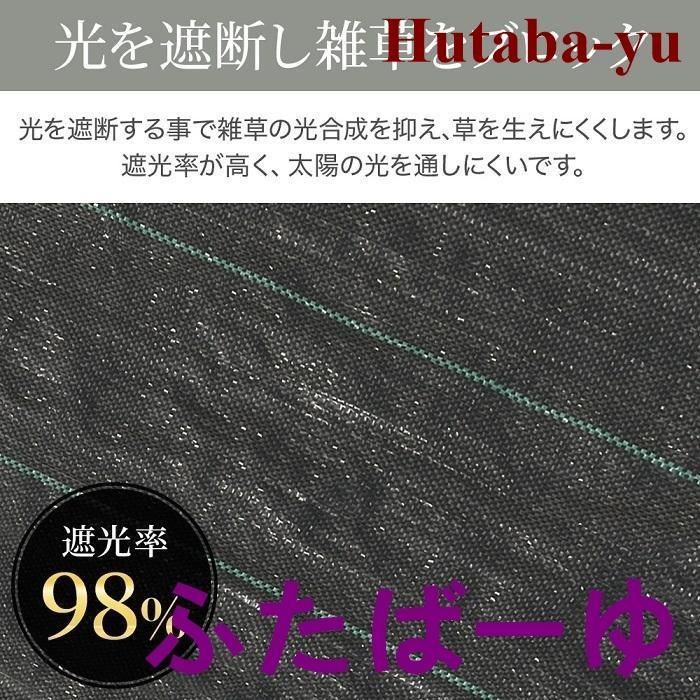 2m×100m