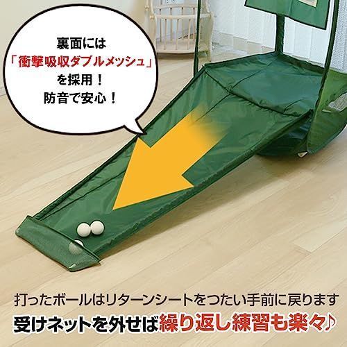 ダイヤゴルフ(DAIYA GOLF) アプローチ練習器具 ゴルフ練習ネット ゴル ...