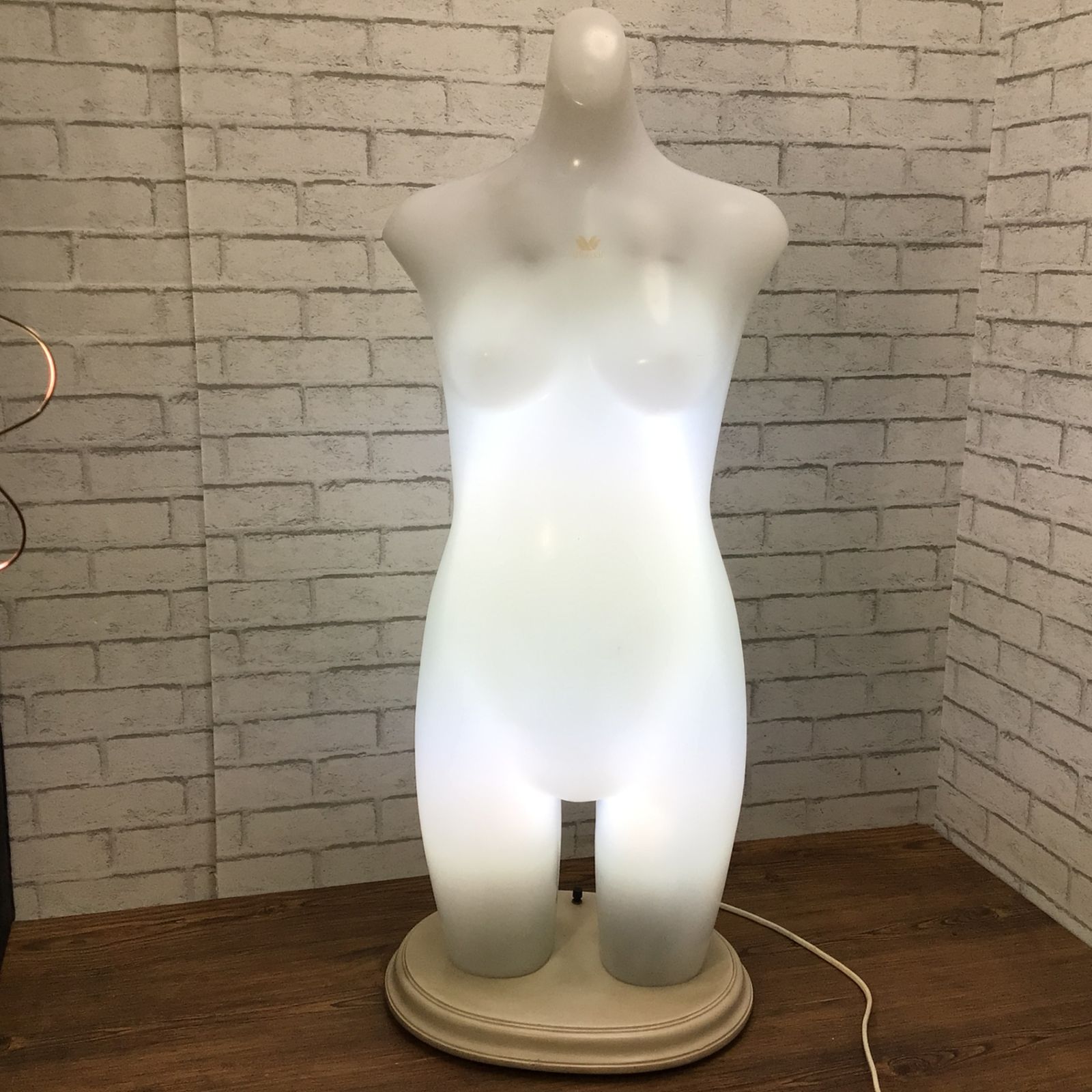 美品 ◾️女性 レディース マネキンボディー / ディスプレイ 撮影 店舗什器 Amazon.co.jp: 女性マネキントルソーボディ、衣料品店の下着水着