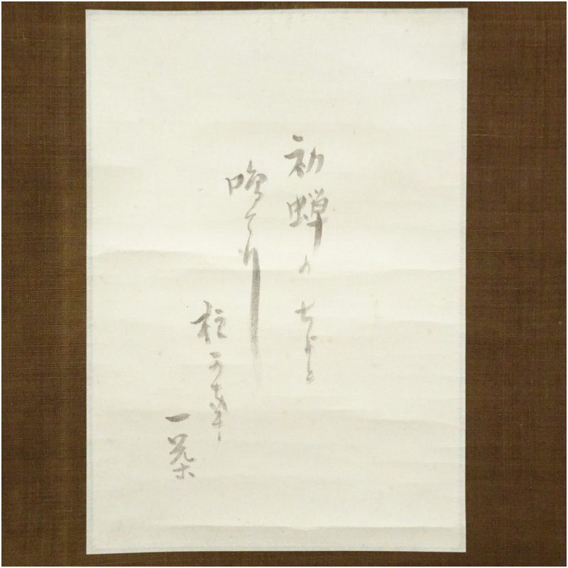 小林一茶筆 初蝉 俳句 肉筆紙本掛軸 久原家久蔵 小林鹿郎識箱 掛け軸 床の間 書 おしゃれ 絵画 表具 芸術 茶道 年中掛け インテリア 茶掛 掛物 和室 7月 夏