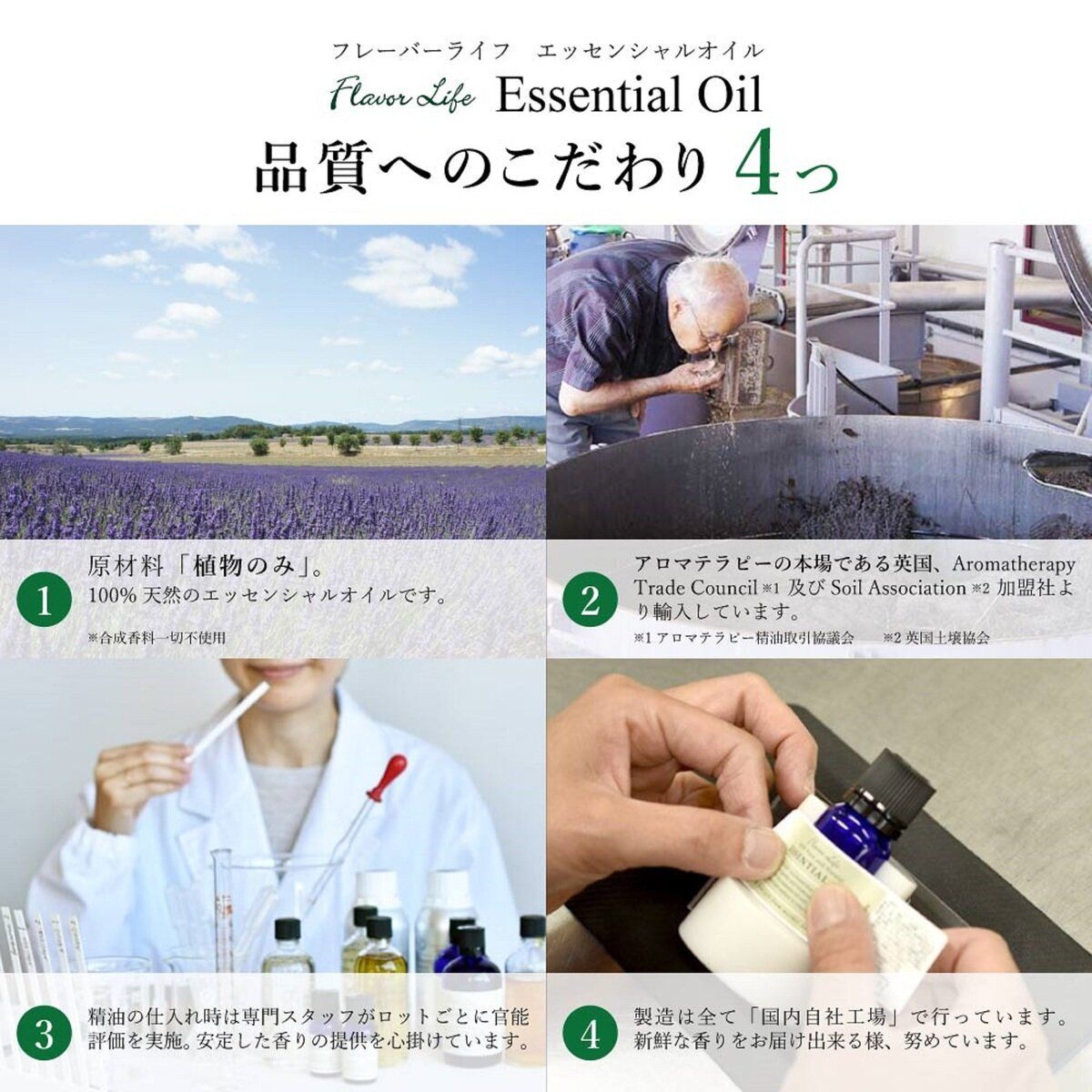 挑戦的行動の先行子操作: 問題行動への新しい援助アプローチ [単行本