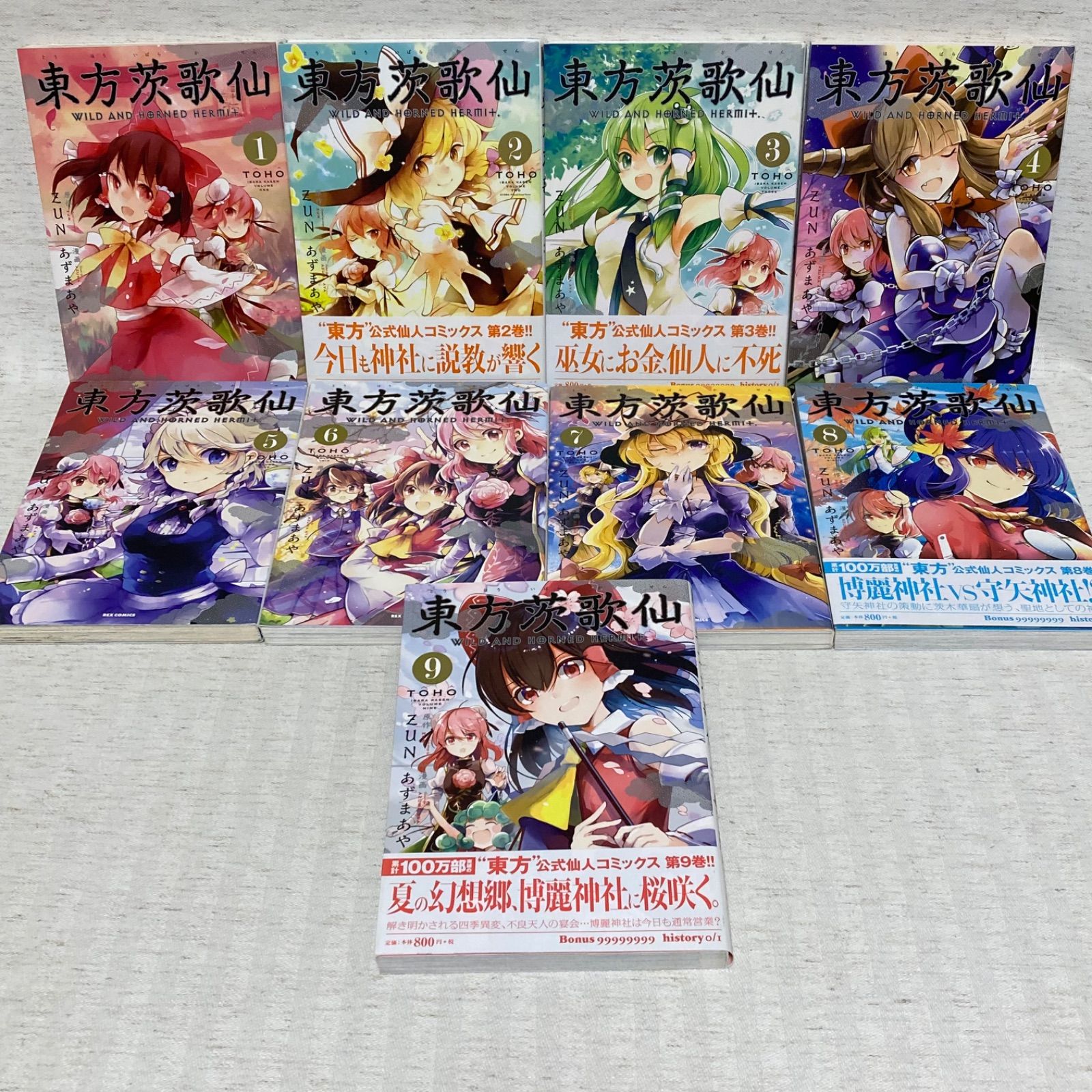 2022春大特価セール！ 東方公式書籍35冊+付録フィギュア4個 青年漫画