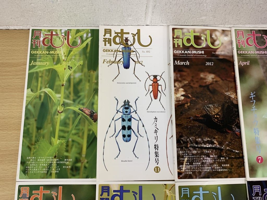 ▲01)【同梱不可】月刊むし 2012年1月～12月号/1年分12冊セット/むし社/昆虫/雑誌/バックナンバー/A