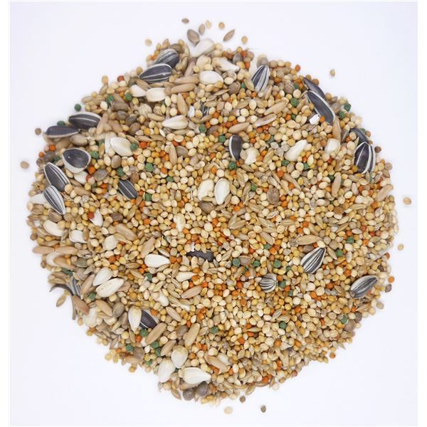 まとめ ペットプロ 中型インコのごはん 1kg ×12セット