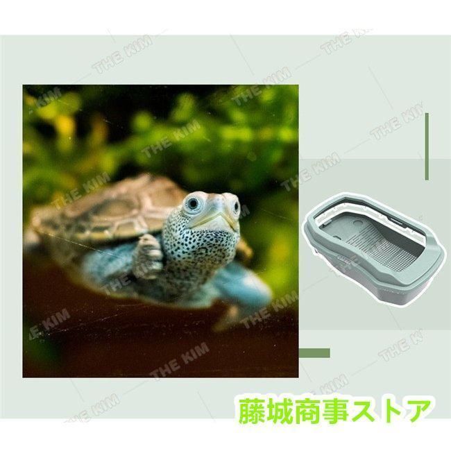 かめカメページ t31700426_3.jpg