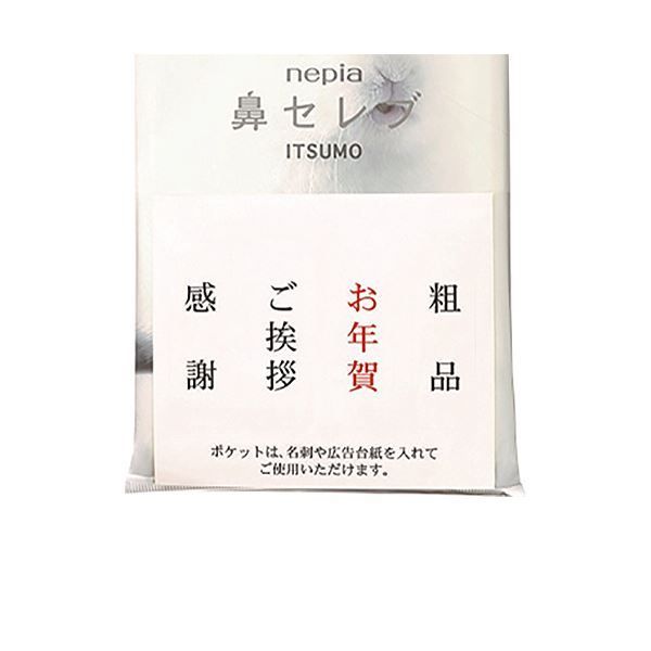 王子ネピア ネピア鼻セレブ ITSUMOPLUS 48組 個 1セット 100個 10個×10パック