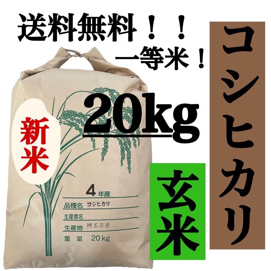 玄米20kg  コシヒカリ新米埼玉県産令和4年産送料無料米20キロ