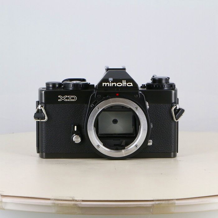 金もみ紅葉の柄 金もみ紫陽花の柄仕舞扇 小売業者