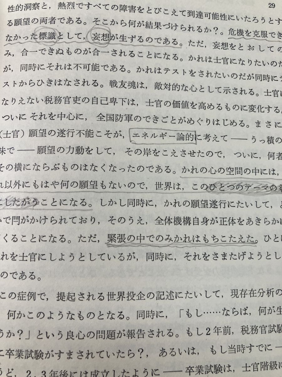 精神分裂病 その発動過程 妄想のゲシュタルト分析試論 Klaus