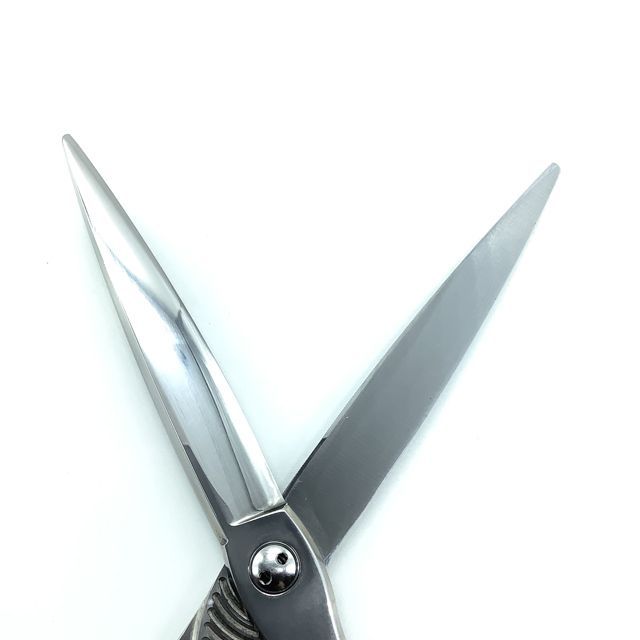 トギノン、マリンシャーク トギノンマリンシャーク