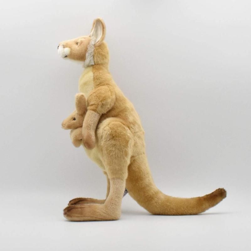 43cm