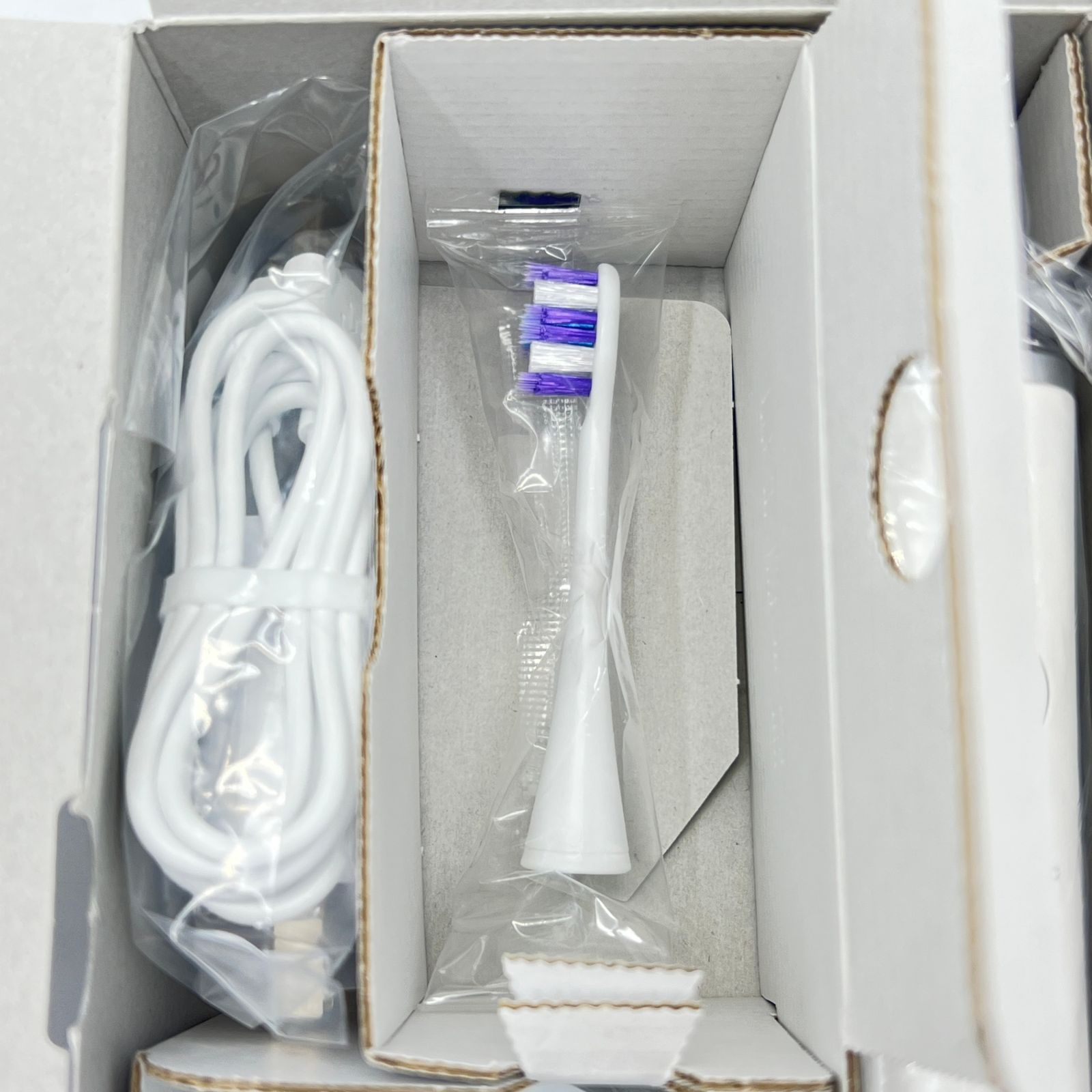 新品＊Panasonic ドルツEW-DP37 電動歯ブラシ本体 Panasonic Doltz EW