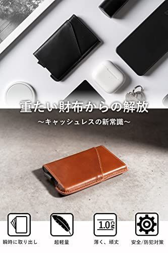 Brown [zepirion] Quick Wallet 2 Leather クレジットカードケース 本