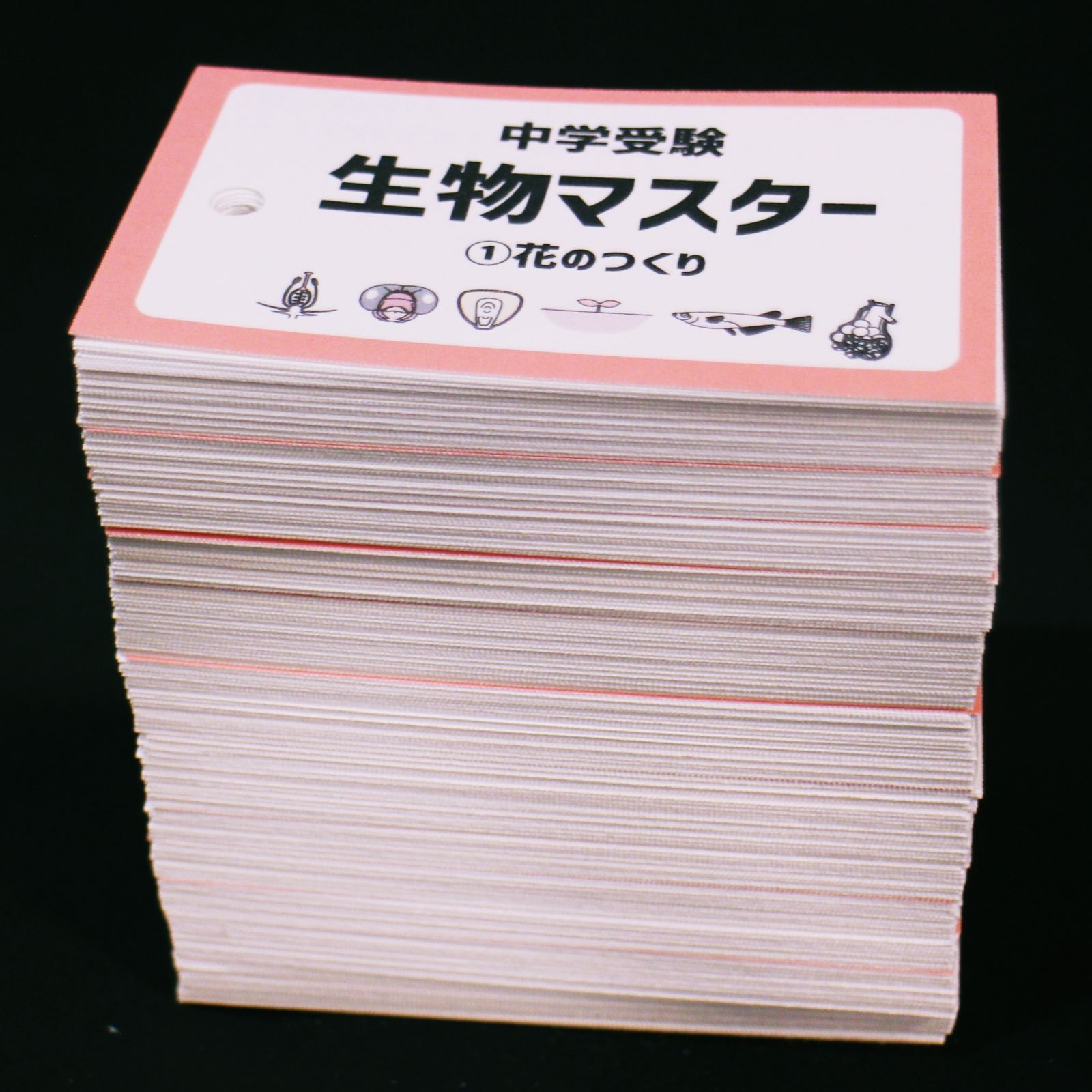 送料無料 店舗 中学受験 メルカリ - 暗記カード マスターシリーズ② 生物マスター 語学・辞書・学習参考書